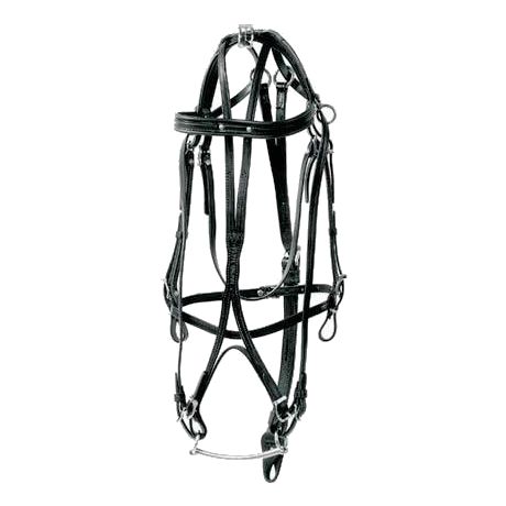 Racing Tack leather Bridle double headchek