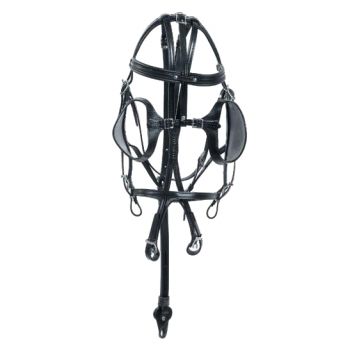 Racing Tack leather Bridle double headchek