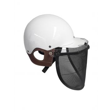 Visir for trotting helmets SMART FIX Wahlsten