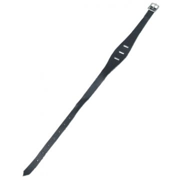 Elastique attache langue
