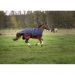 Classic Outdoor Rug Equitheme