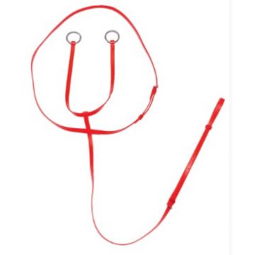 martingale