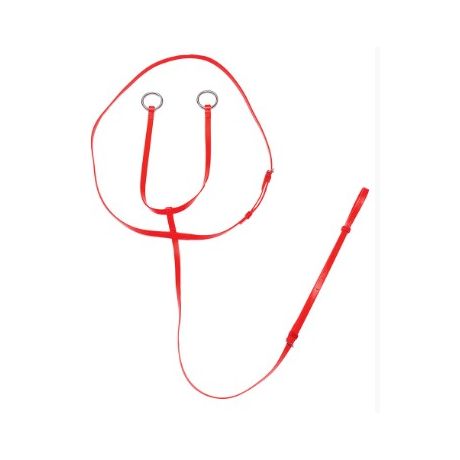 martingale
